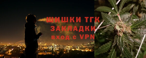 тгк Инта