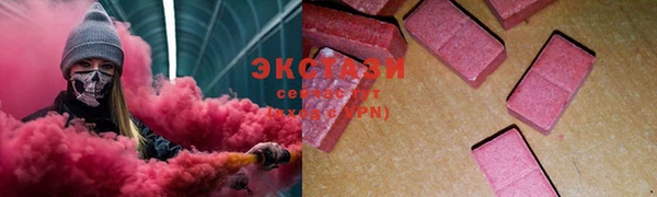 тгк Инта