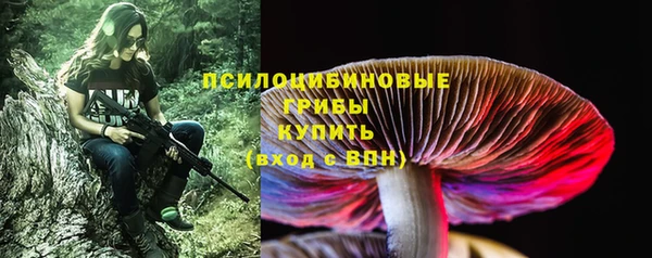 тгк Инта