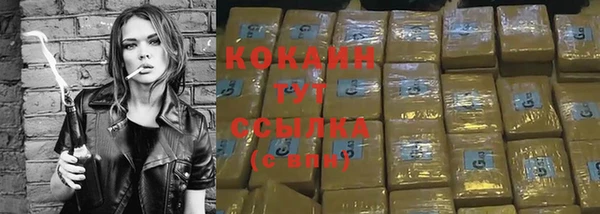 тгк Инта
