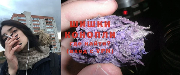 стаф Инсар